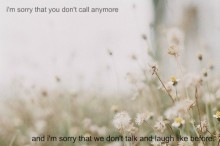I'm sorry that you don't call any more.jpg